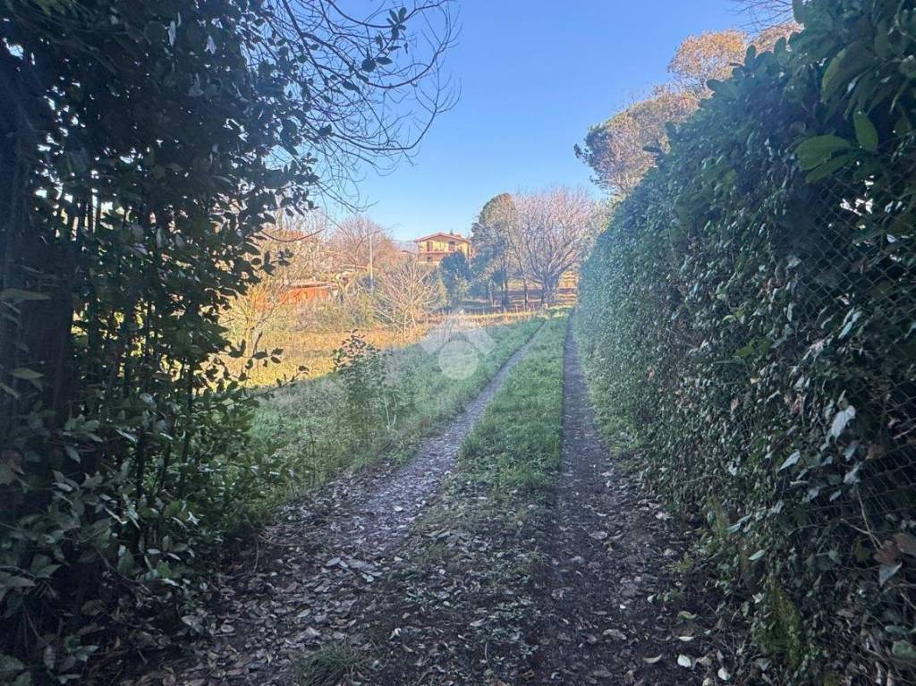 immagine annuncio 7 di 13