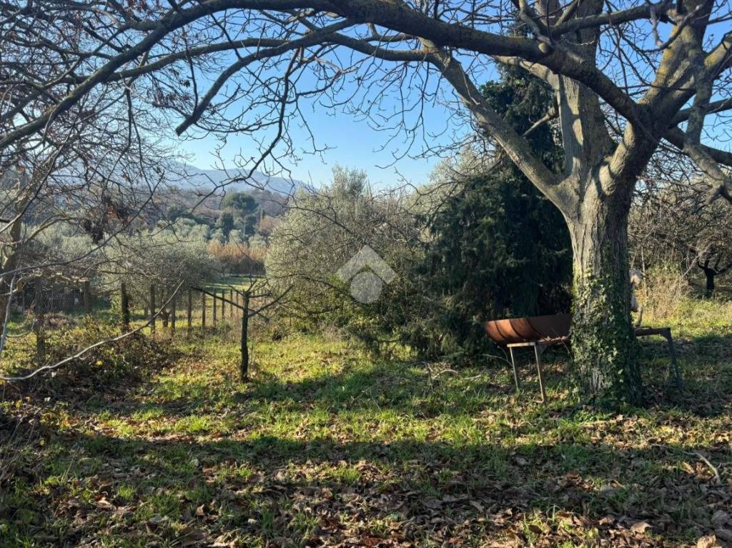 immagine annuncio 12 di 13