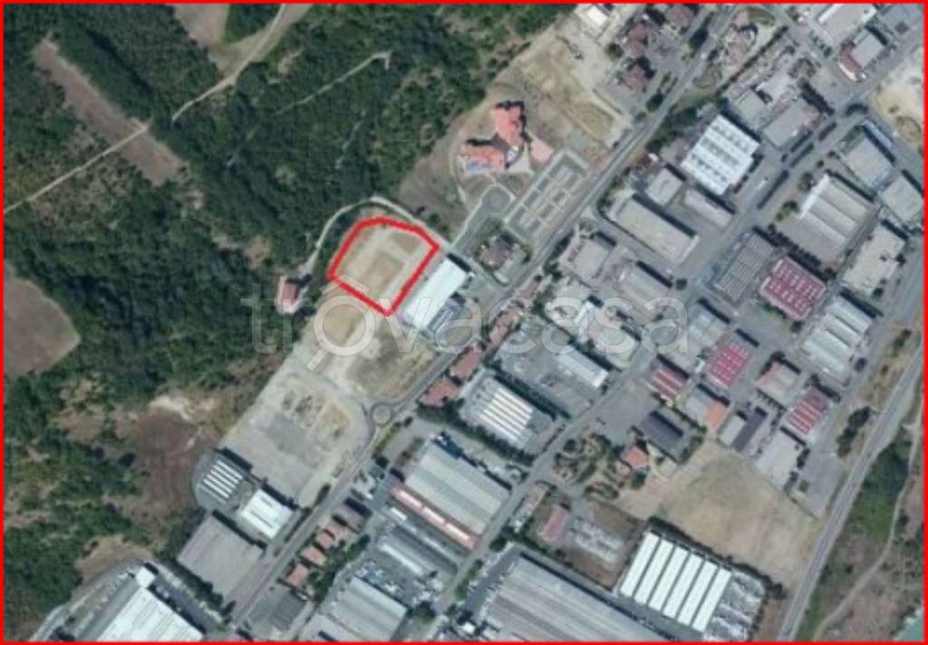 immagine annuncio 11 di 12