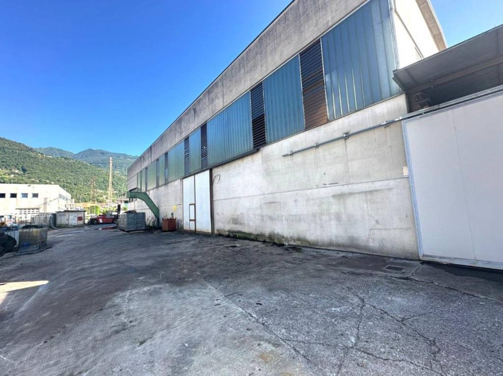 immagine annuncio 6 di 15