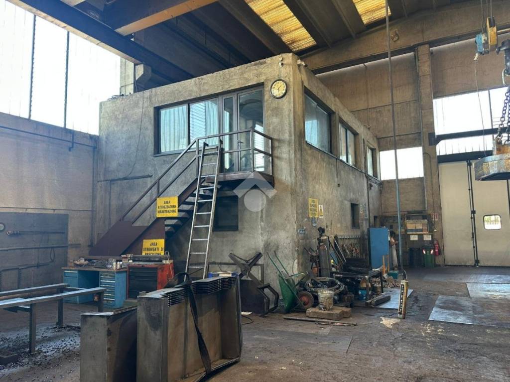 immagine annuncio 11 di 15