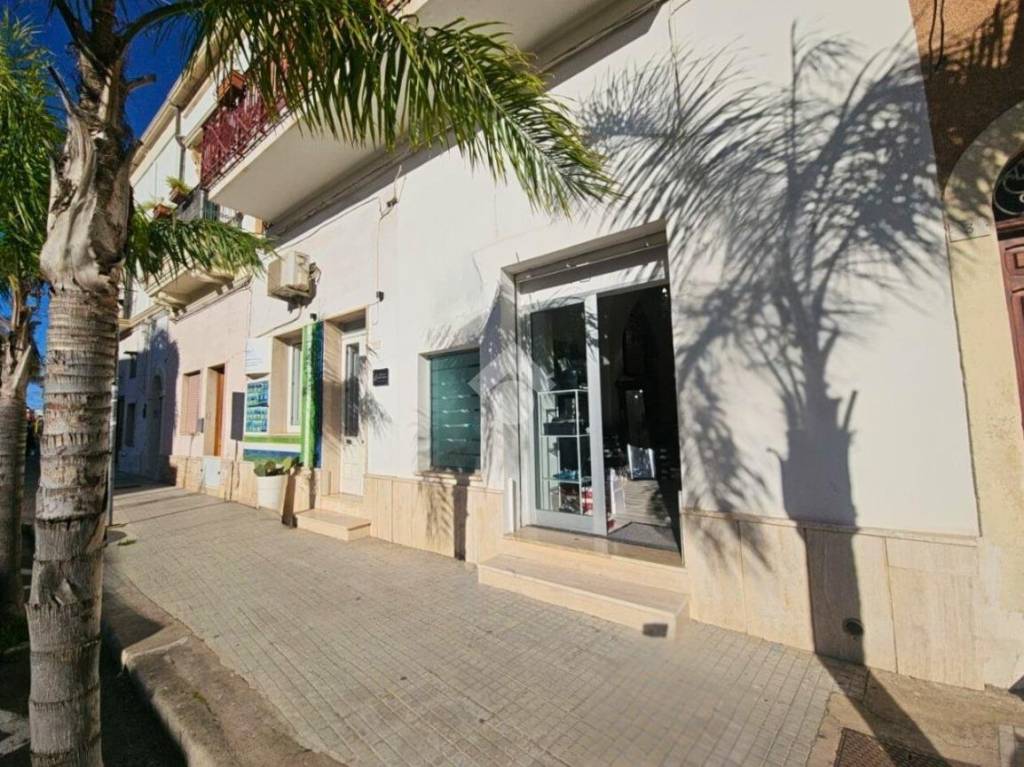 immagine annuncio 2 di 11