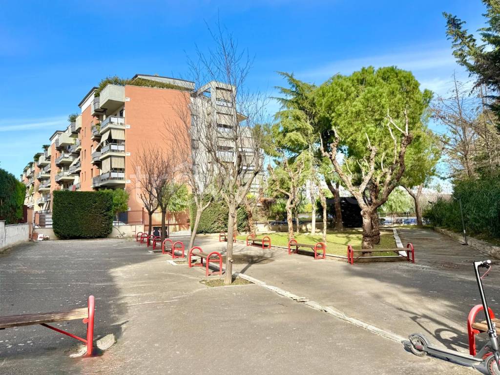 immagine annuncio 3 di 15