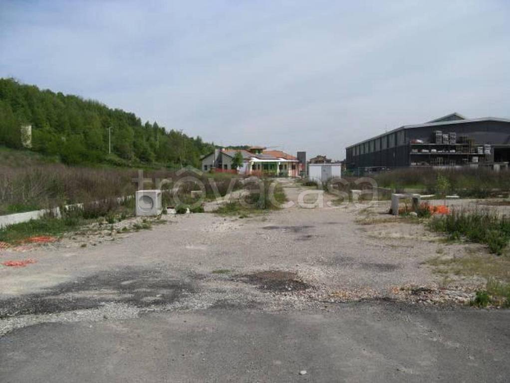 immagine annuncio 3 di 12