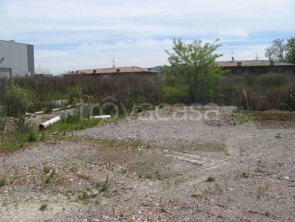 immagine annuncio 4 di 12