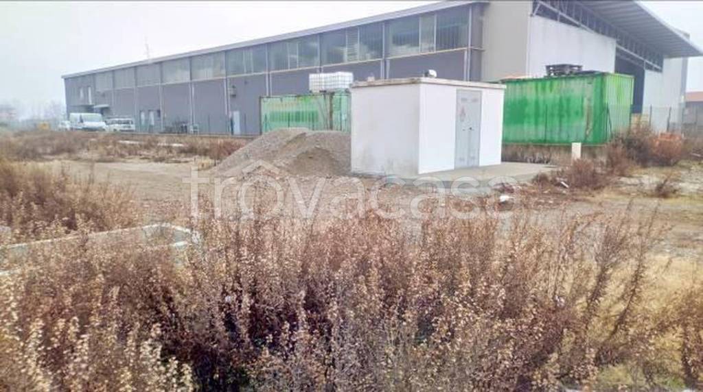 immagine annuncio 7 di 12