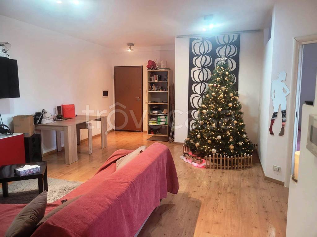 immagine annuncio 2 di 14