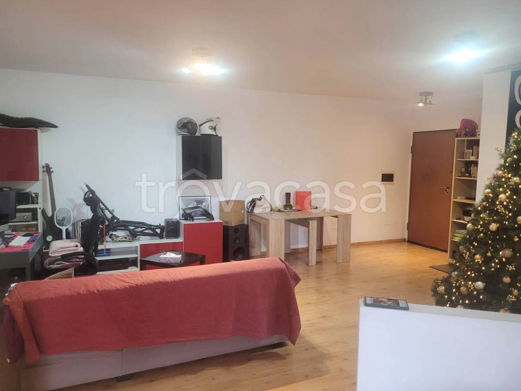 immagine annuncio 3 di 14