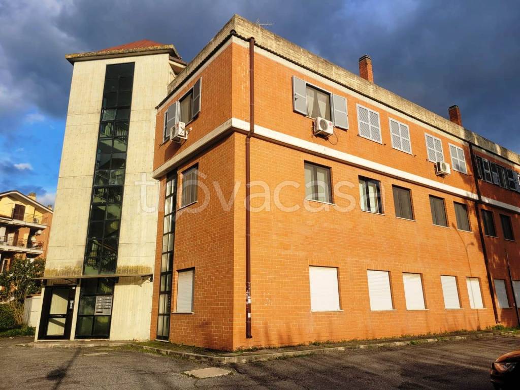 immagine annuncio 13 di 14