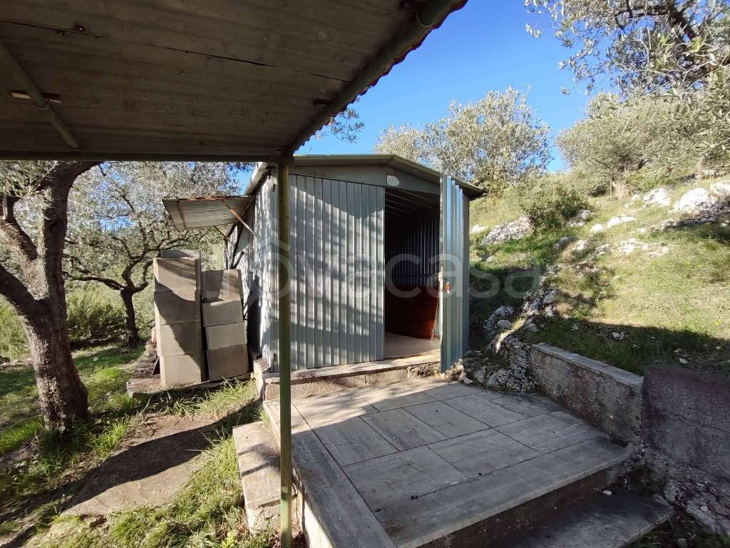 immagine annuncio 11 di 15