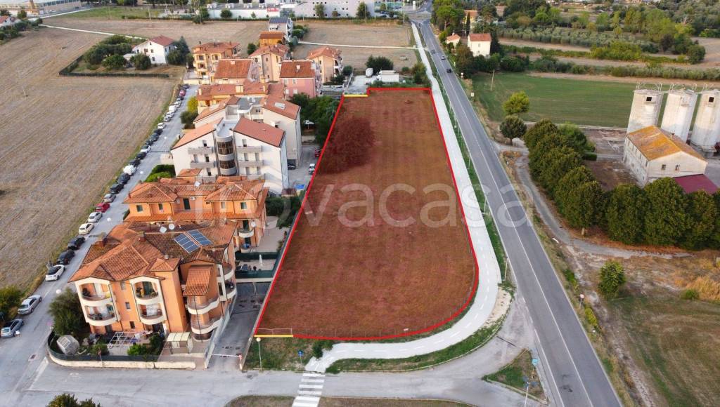 immagine annuncio 3 di 13