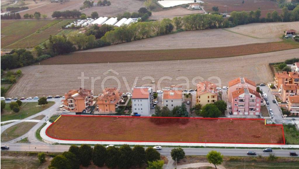 immagine annuncio 4 di 13