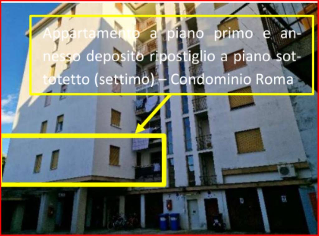 immagine annuncio 2 di 12