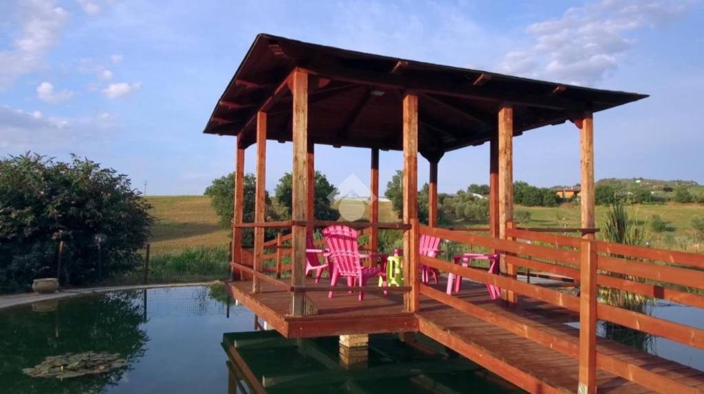 immagine annuncio 6 di 9