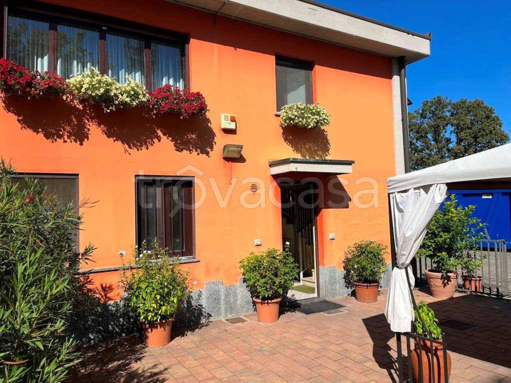 immagine annuncio 3 di 15