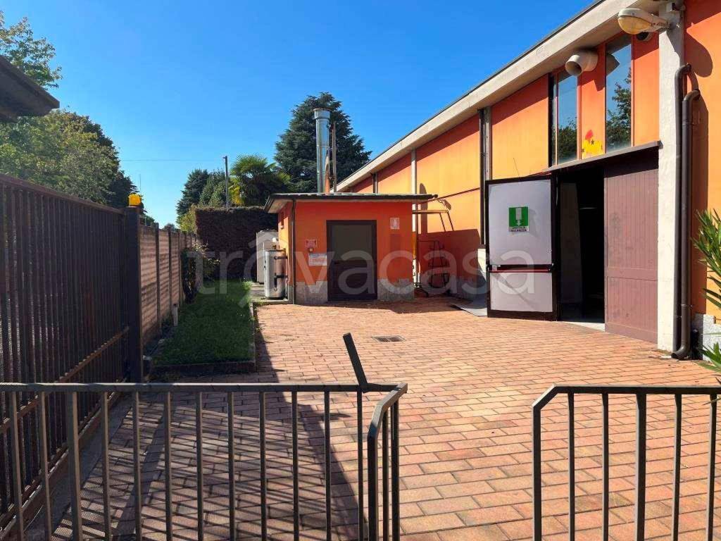 immagine annuncio 10 di 15