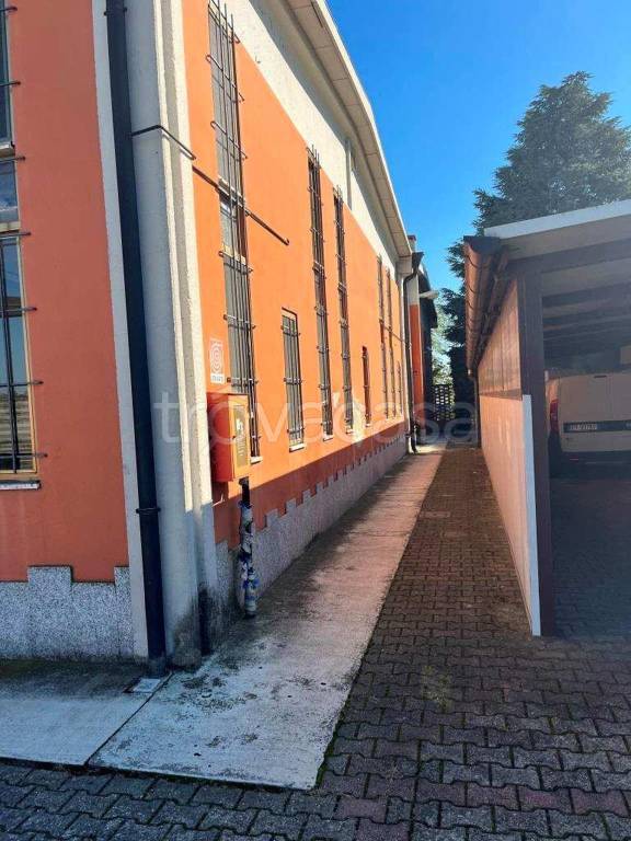 immagine annuncio 14 di 15