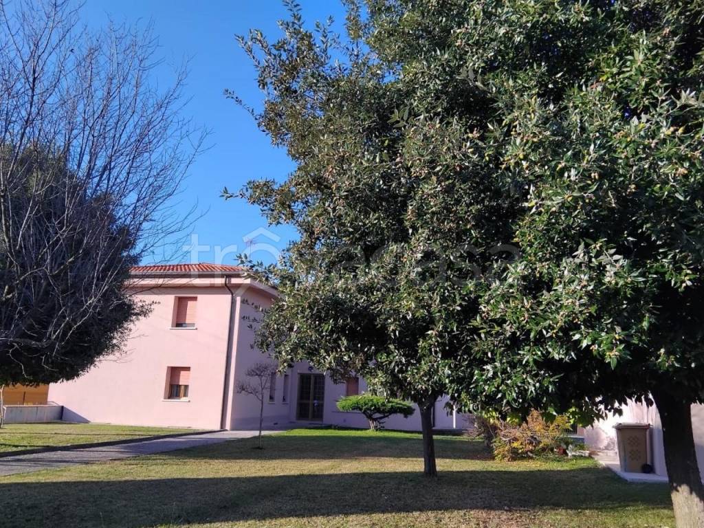 immagine annuncio 1 di 6