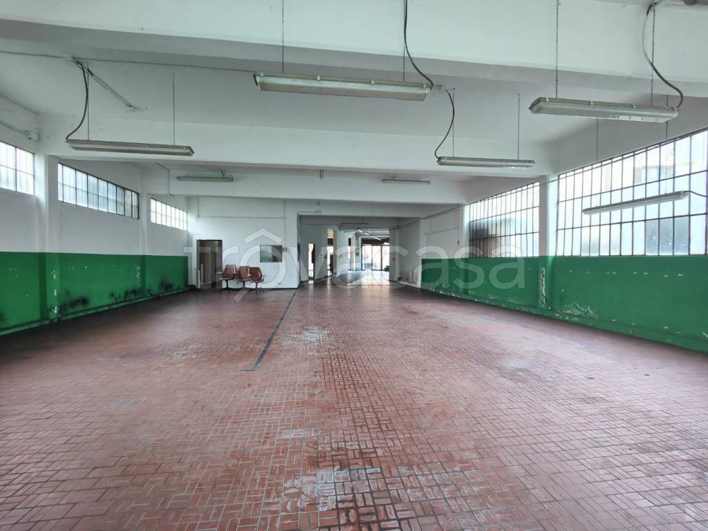 immagine annuncio 5 di 7