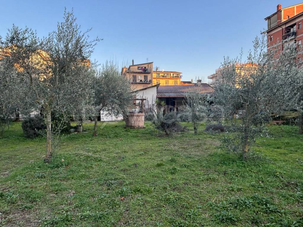 immagine annuncio 1 di 14