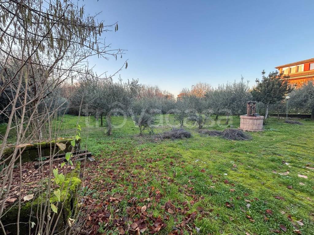 immagine annuncio 2 di 14