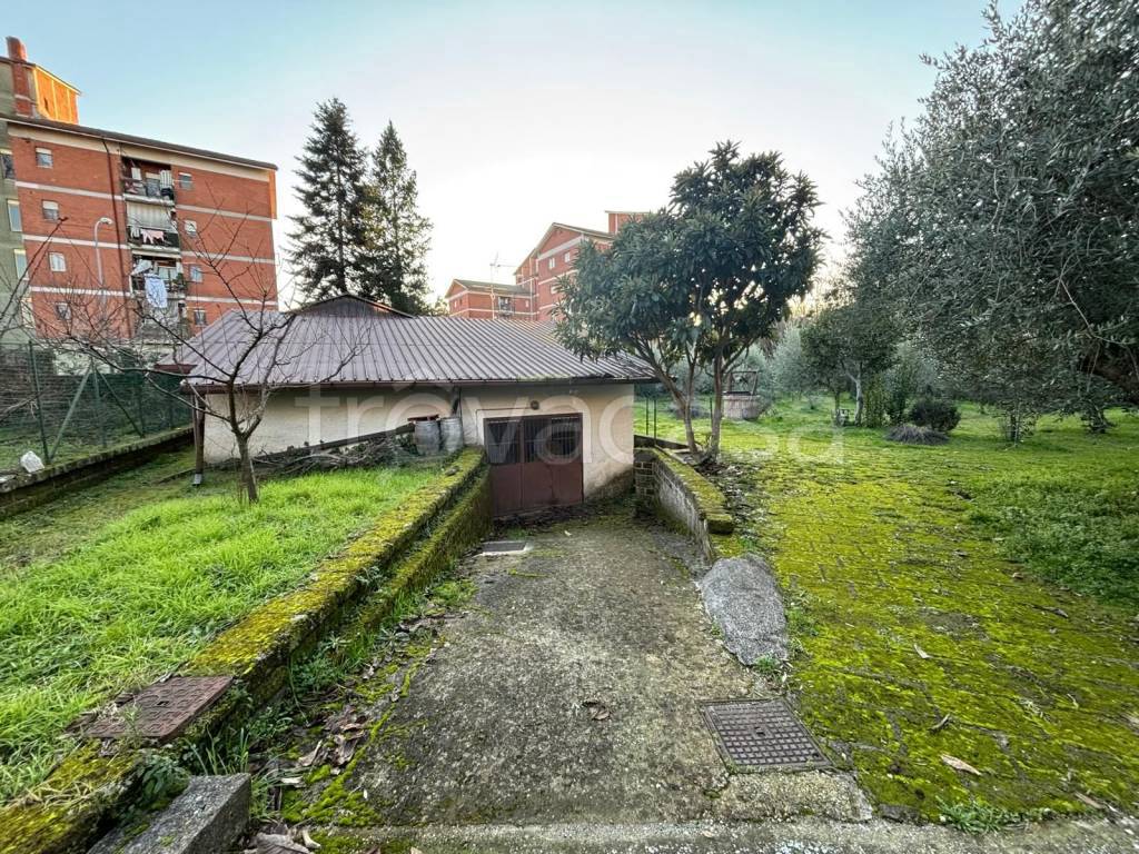 immagine annuncio 3 di 14