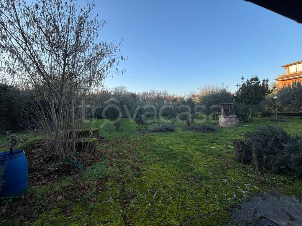 immagine annuncio 4 di 14