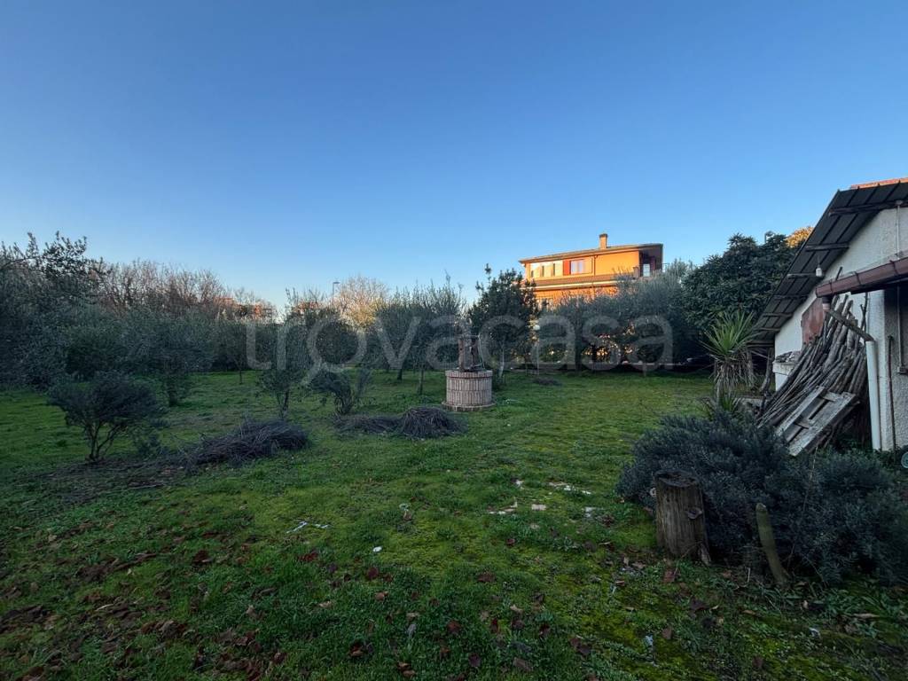 immagine annuncio 5 di 14