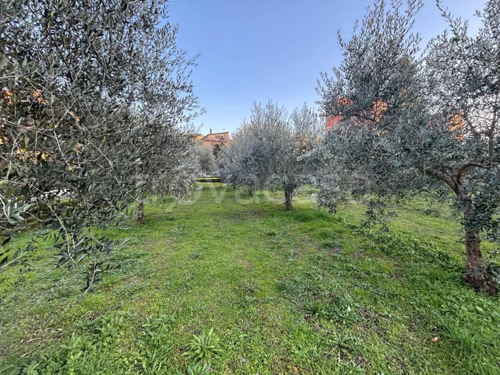 immagine annuncio 6 di 14