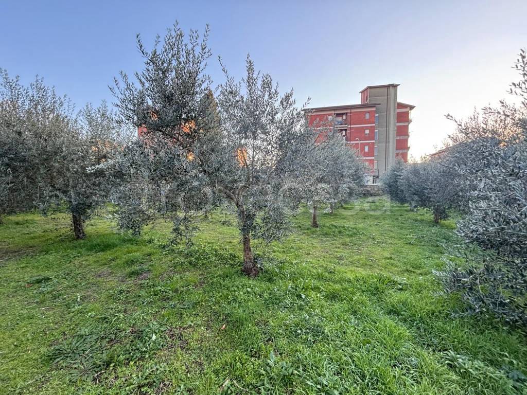 immagine annuncio 7 di 14