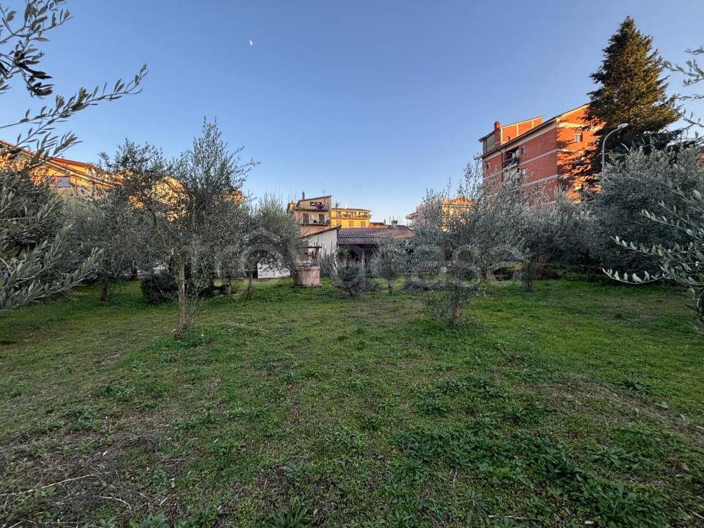 immagine annuncio 8 di 14