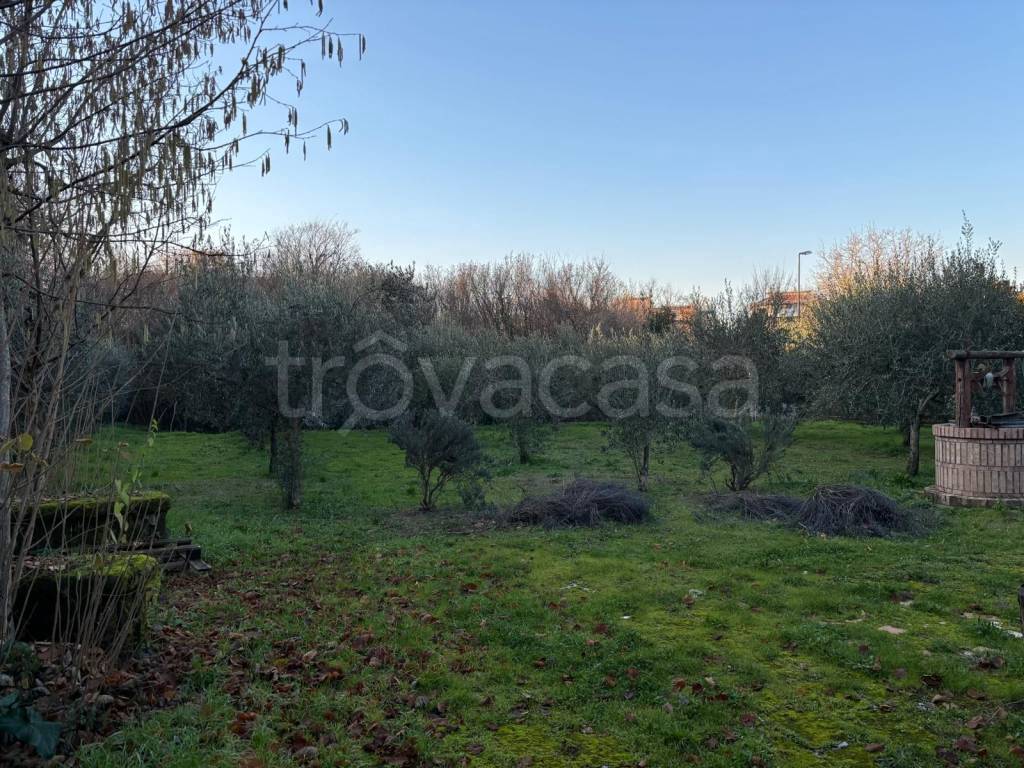 immagine annuncio 10 di 14