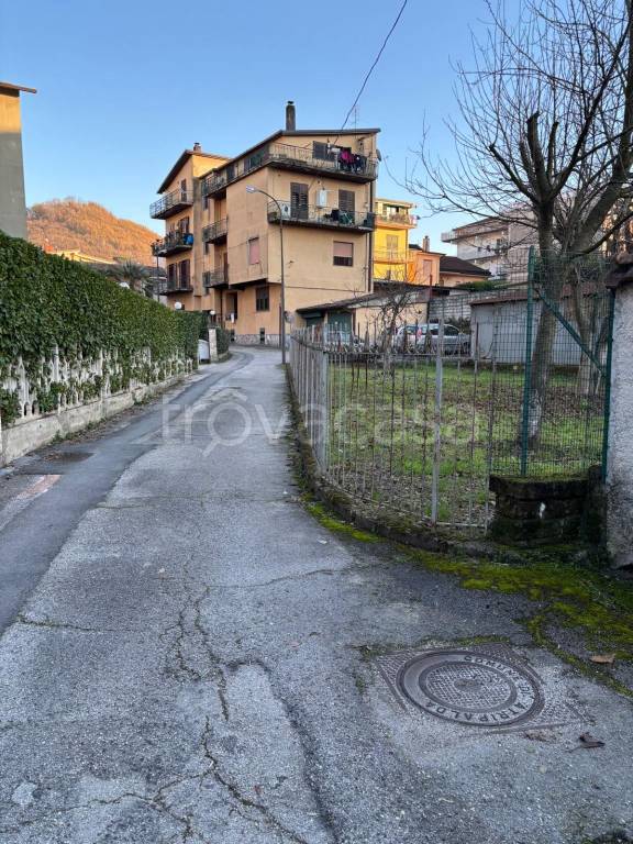 immagine annuncio 11 di 14