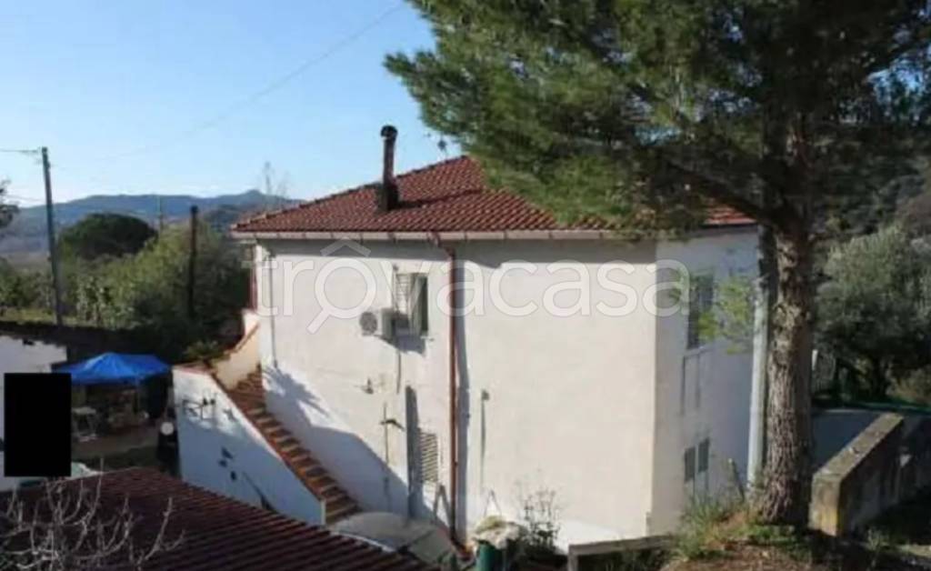 immagine annuncio 12 di 14