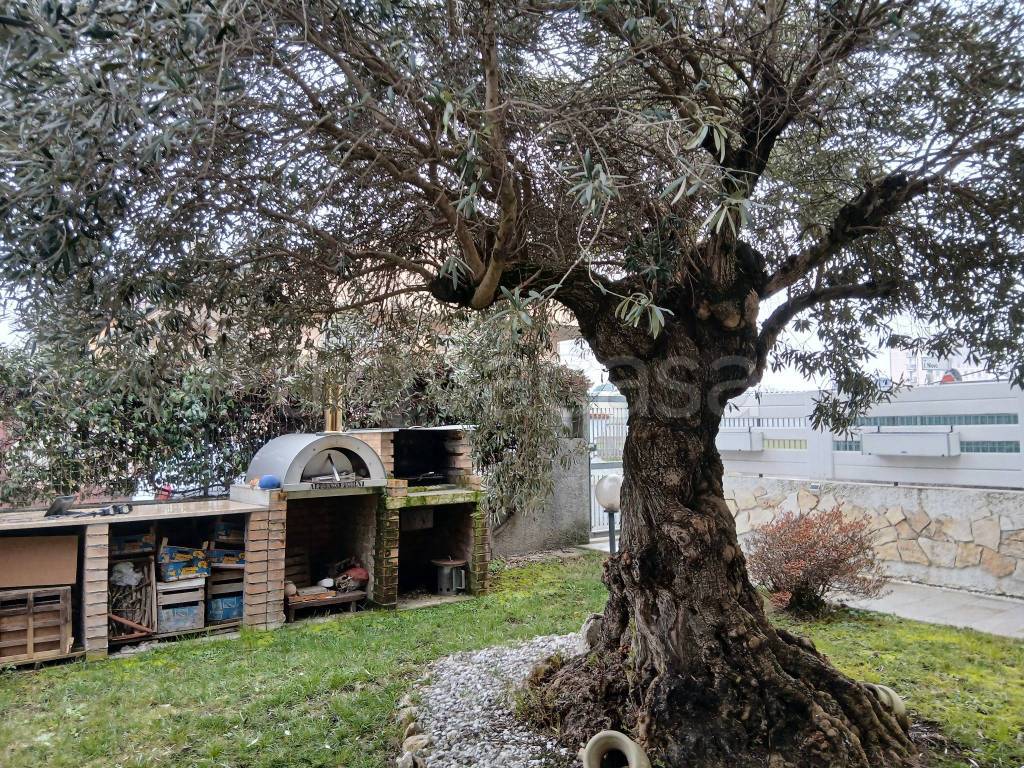 immagine annuncio 11 di 15