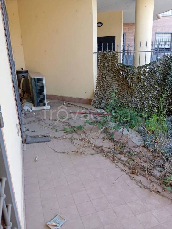 immagine annuncio 9 di 13