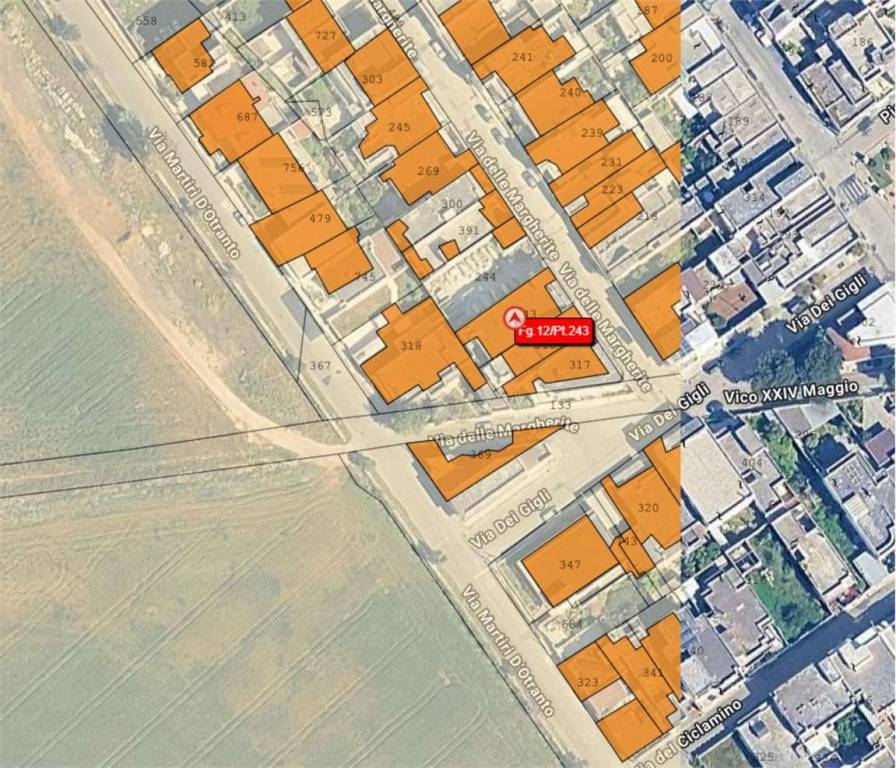 immagine annuncio 12 di 15