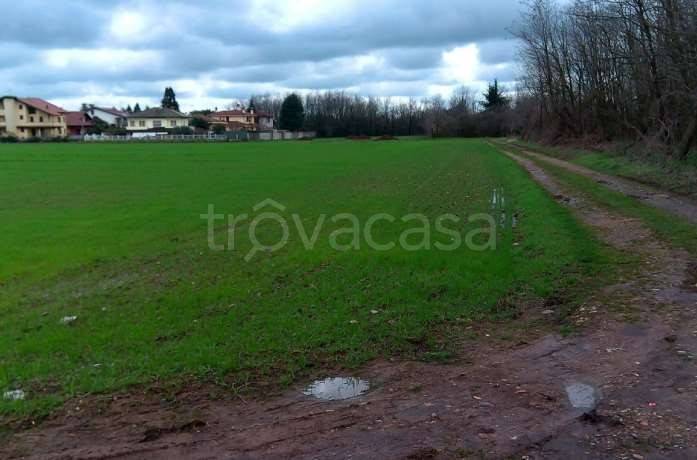 immagine annuncio 4 di 14