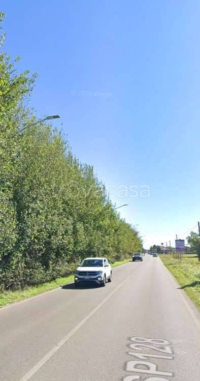 immagine annuncio 9 di 14