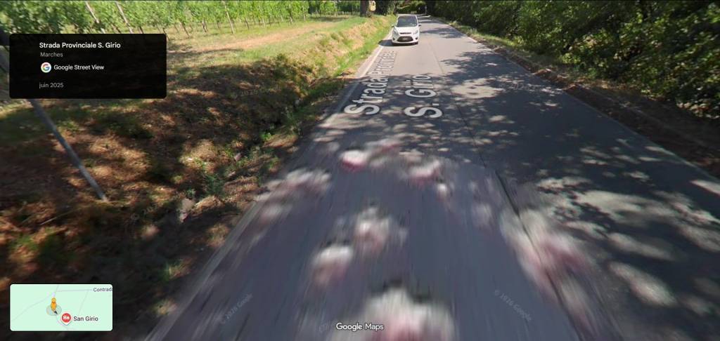 immagine annuncio 3 di 10