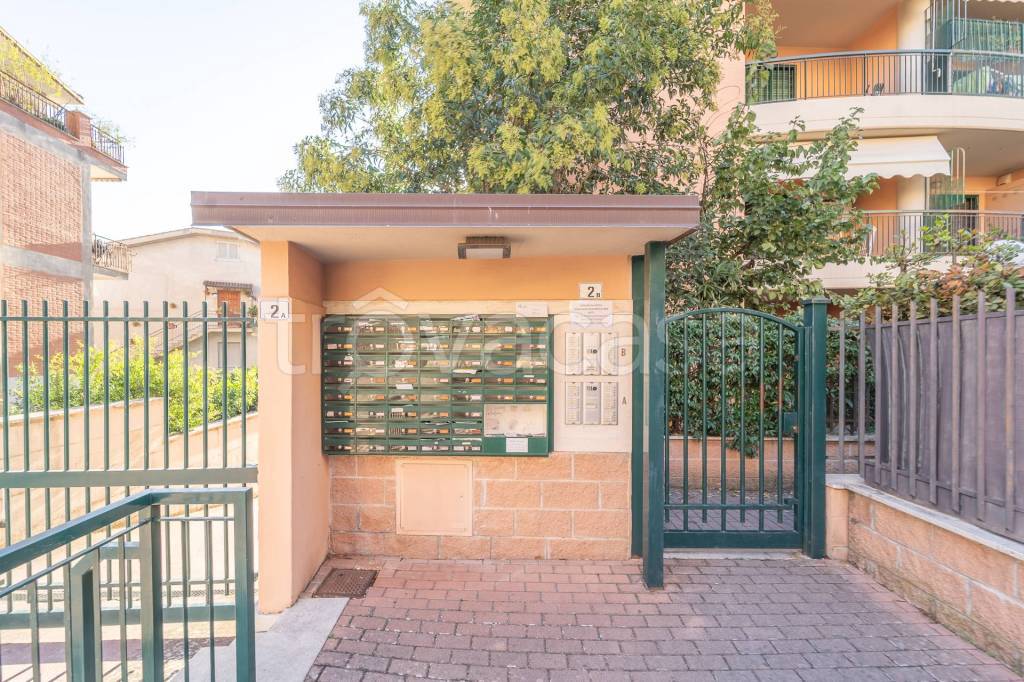 immagine annuncio 2 di 15