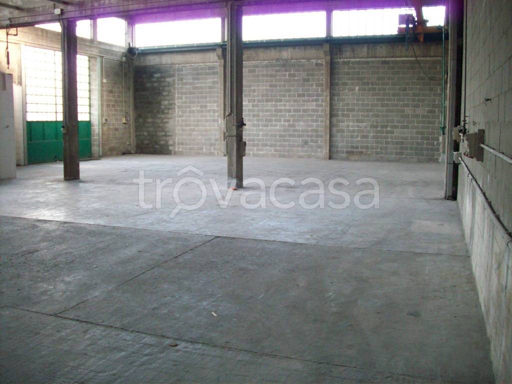 immagine annuncio 3 di 12