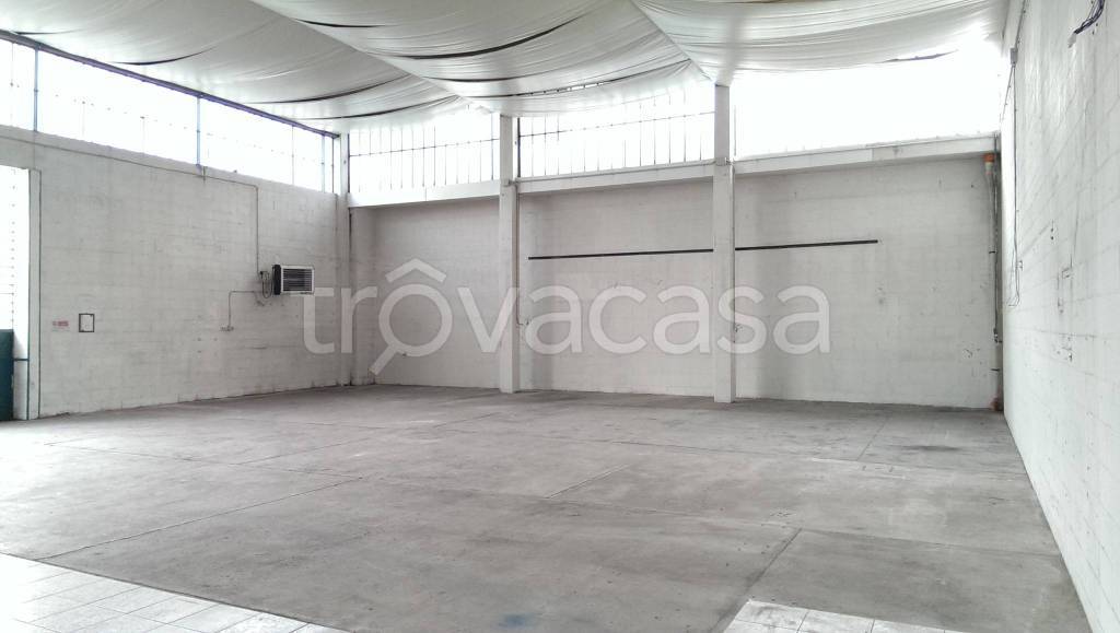 immagine annuncio 7 di 12