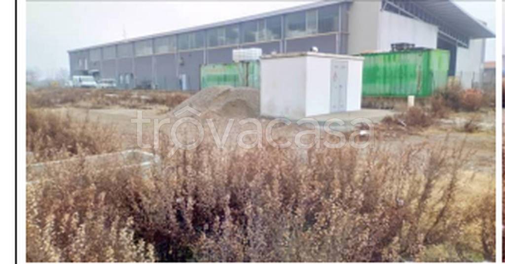 immagine annuncio 6 di 10