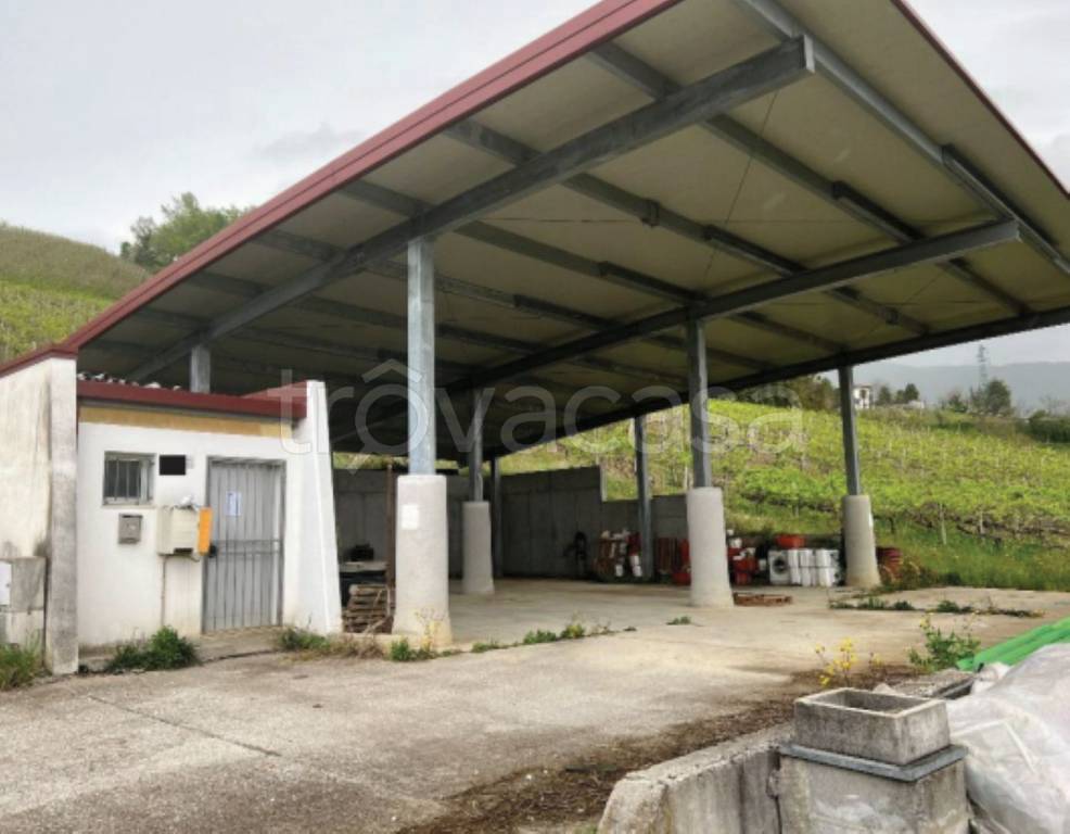 immagine annuncio 2 di 13