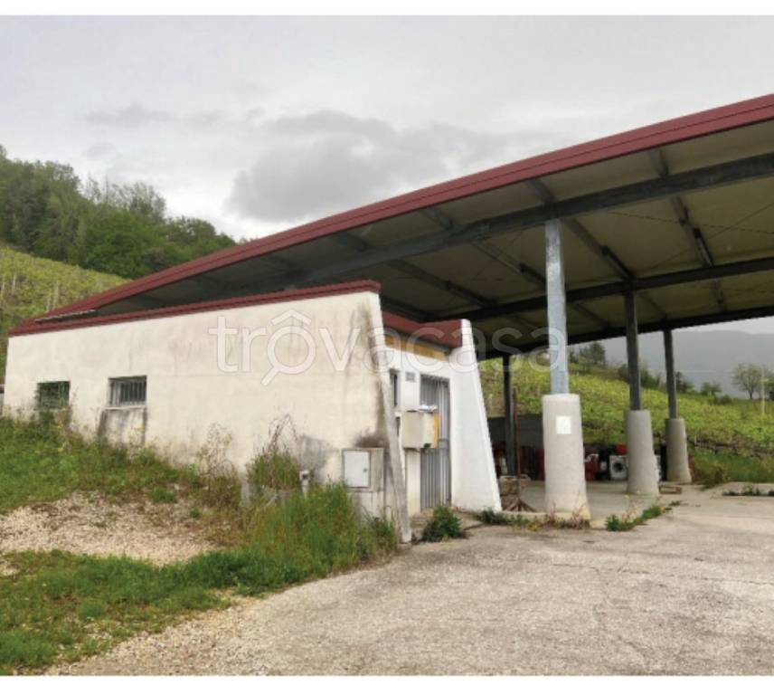 immagine annuncio 3 di 13