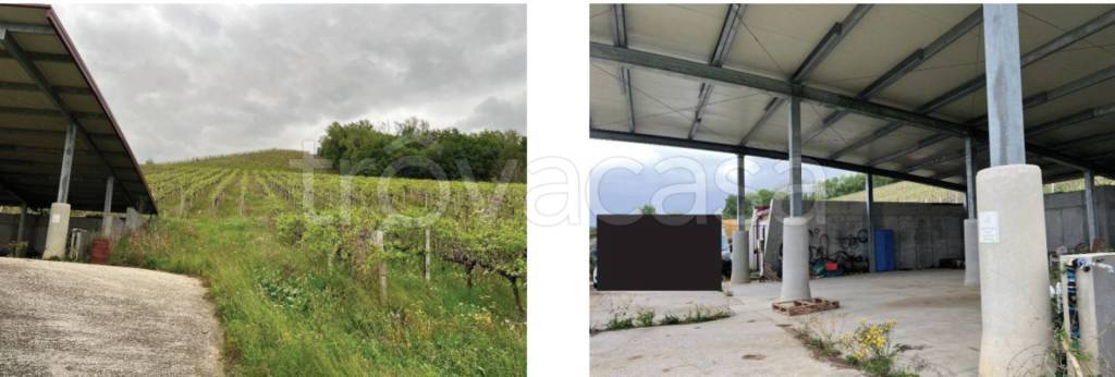 immagine annuncio 6 di 13