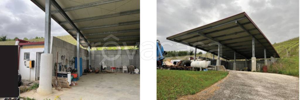 immagine annuncio 7 di 13