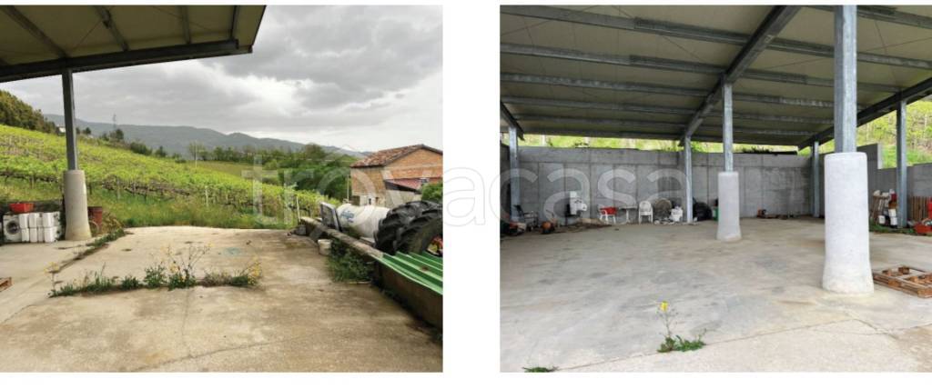 immagine annuncio 9 di 13