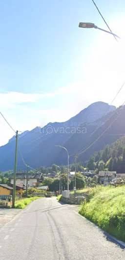 immagine annuncio 3 di 14